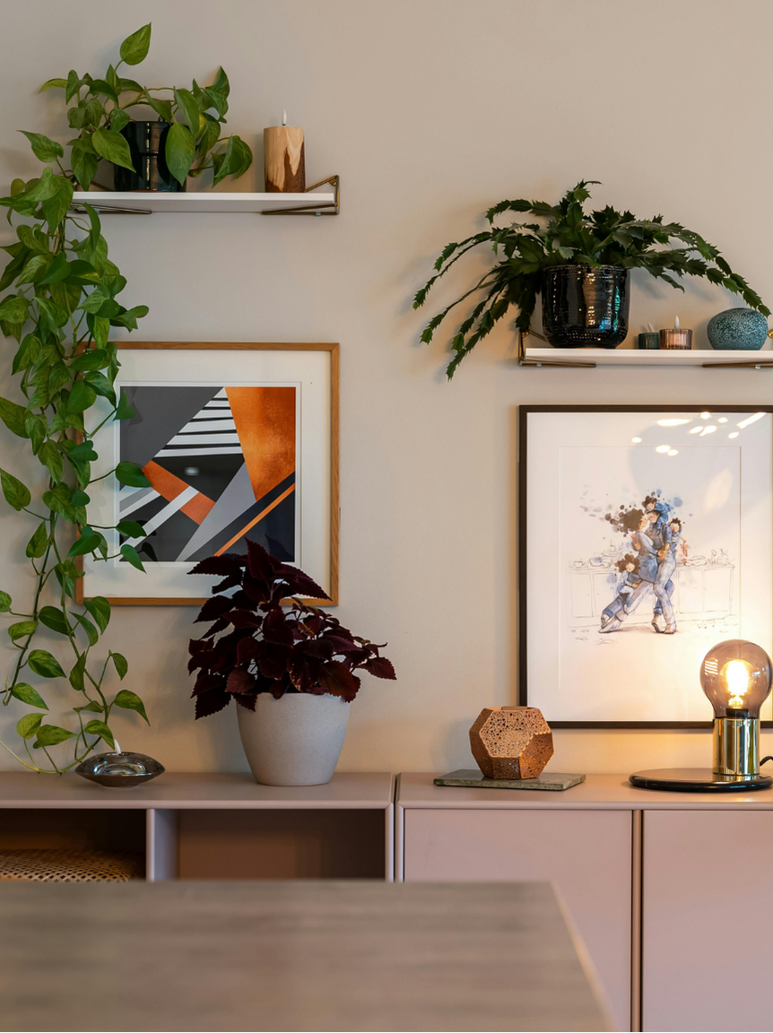 Home & Lifestyle